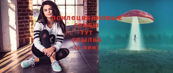 apvp Балахна