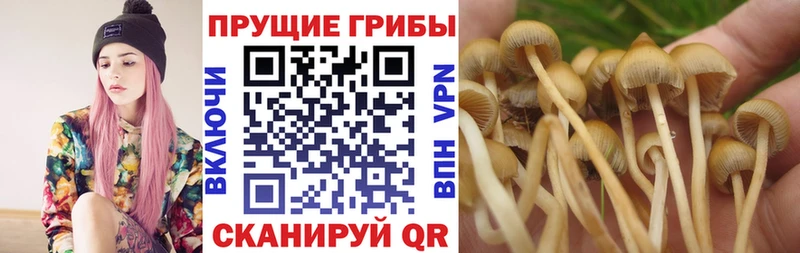 даркнет сайт  MEGA tor  Галлюциногенные грибы Psilocybine cubensis  Верхнеуральск 